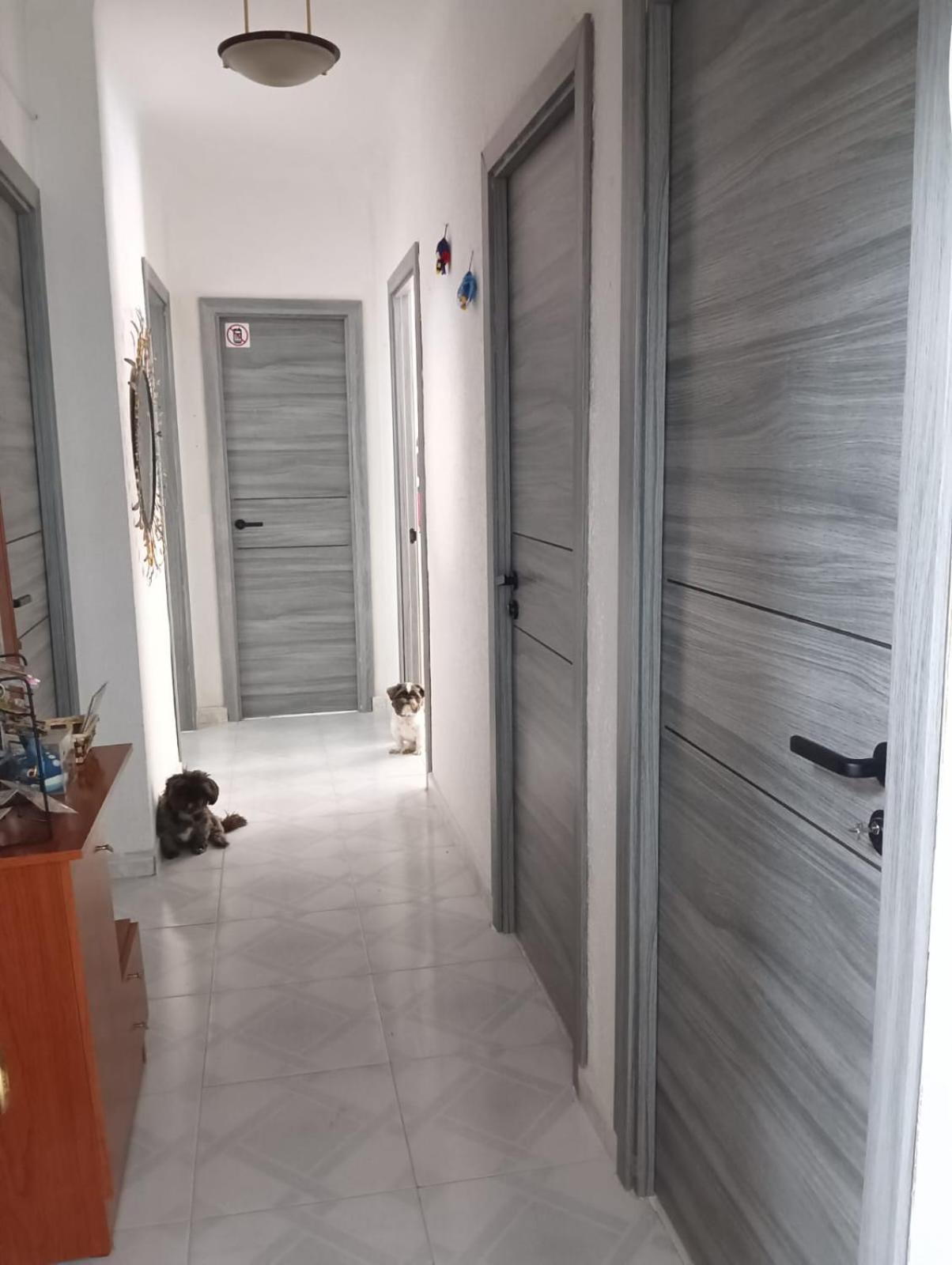 Alicante Habitacion Oasis Exterior photo